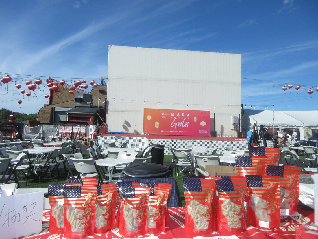 真参·走进 MARA 年度庆典 —— 阳光下的交流与收获