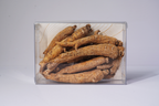 ZENSENG Grand Reserve Whole Roots - 8 oz